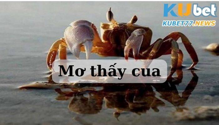 Mơ thấy cua có điều gì đặc biệt?