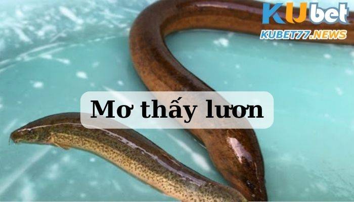 Mơ thấy lươn có tốt hay không?